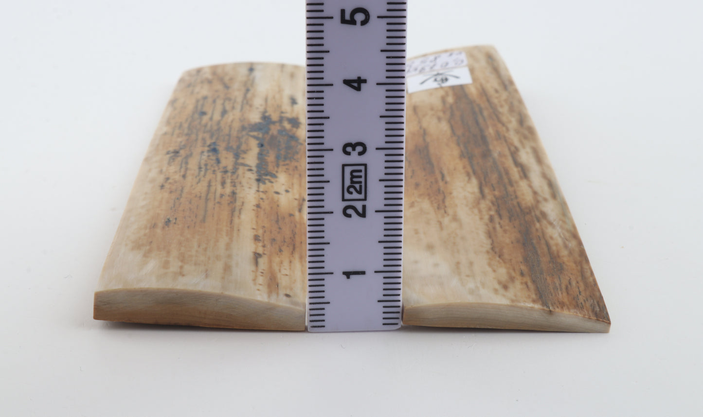 Natural mammoth bark scales