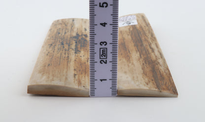 Natural mammoth bark scales