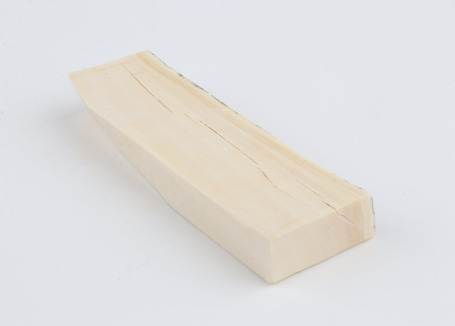 White mammoth ivory segment