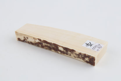 White mammoth ivory segment