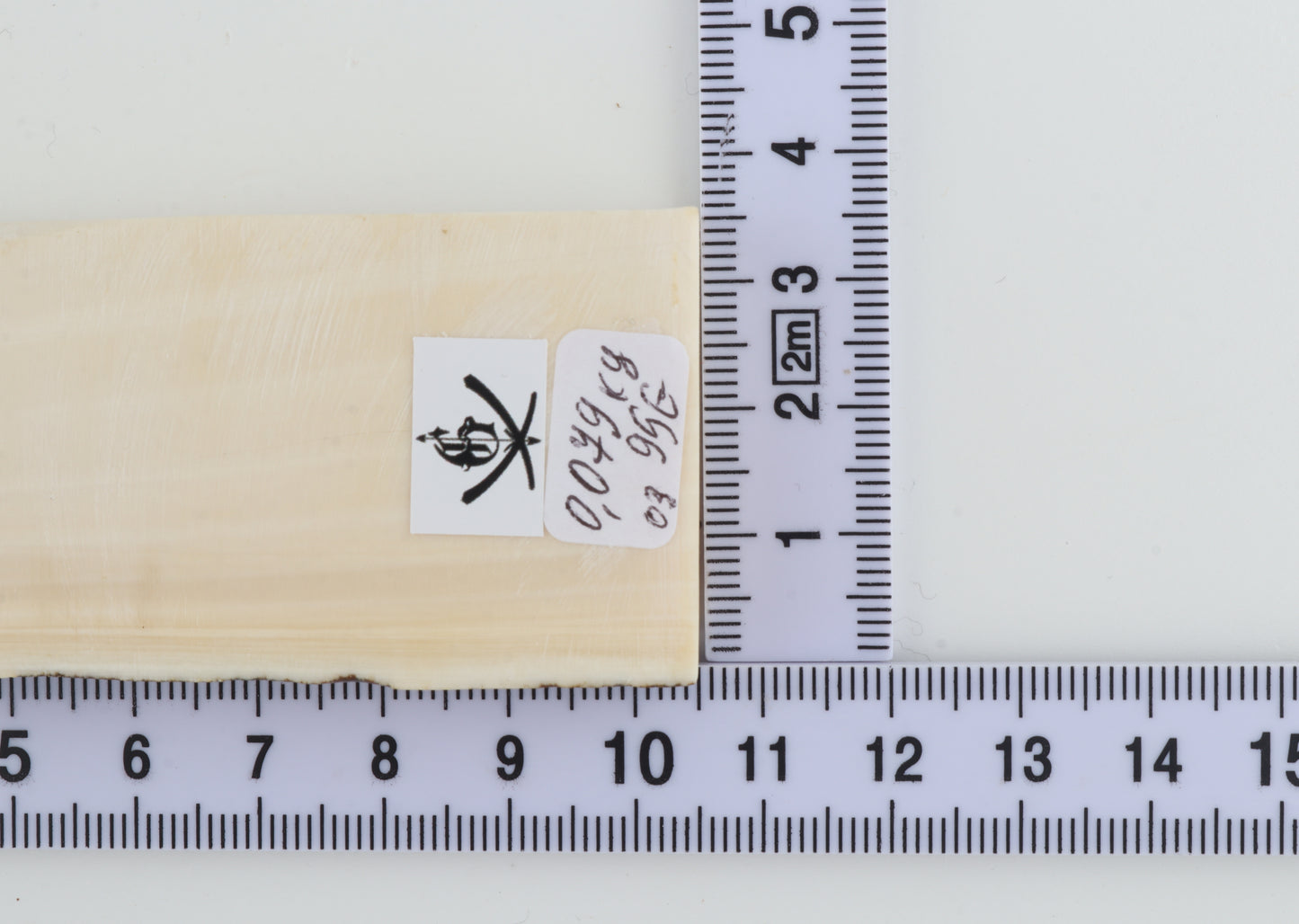 White mammoth ivory segment
