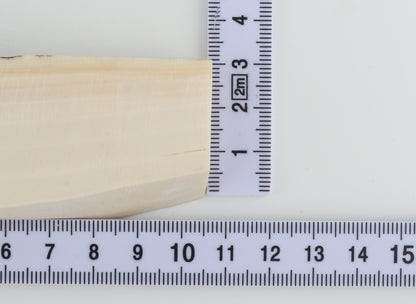 White mammoth ivory segment