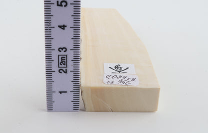 White mammoth ivory segment