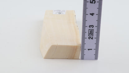 White mammoth ivory segment