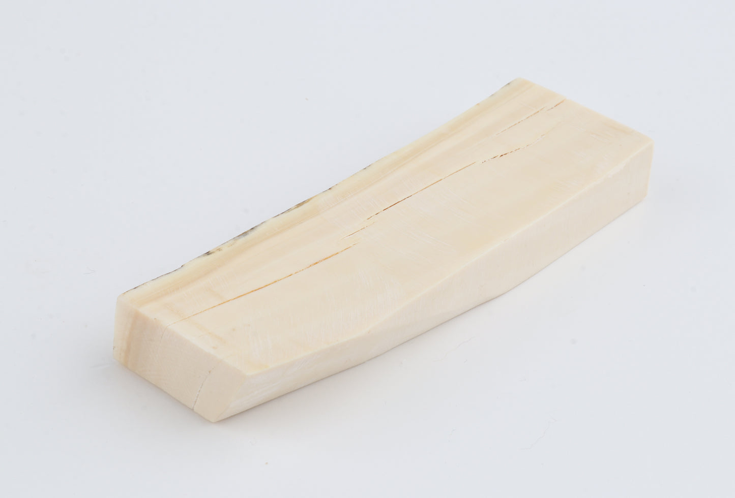White mammoth ivory segment