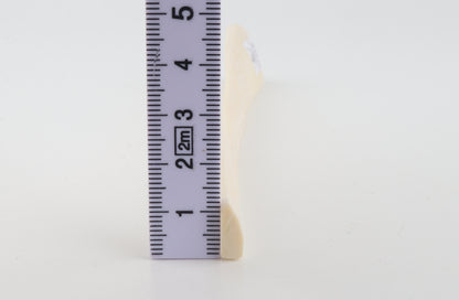 White mammoth ivory piece