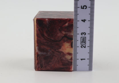 Stabilized mammoth molar piece