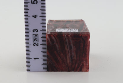 Stabilized mammoth molar piece