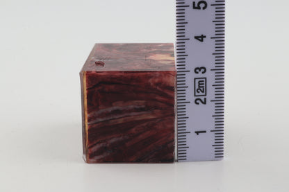 Stabilized mammoth molar piece
