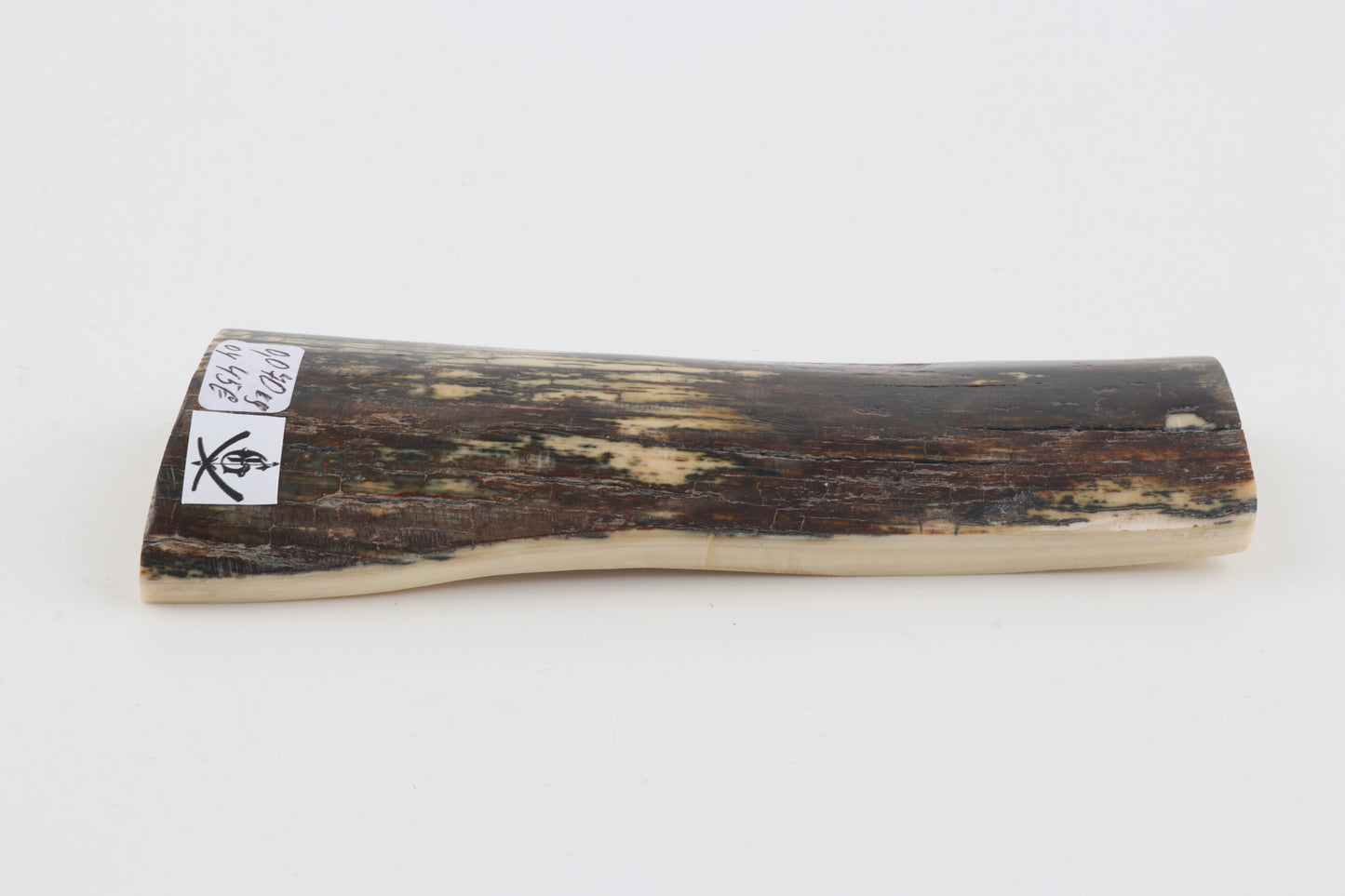 Brown-green mammoth bark