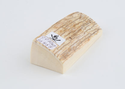 Natural mammoth ivory piece