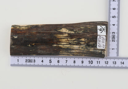 Brown-green mammoth bark