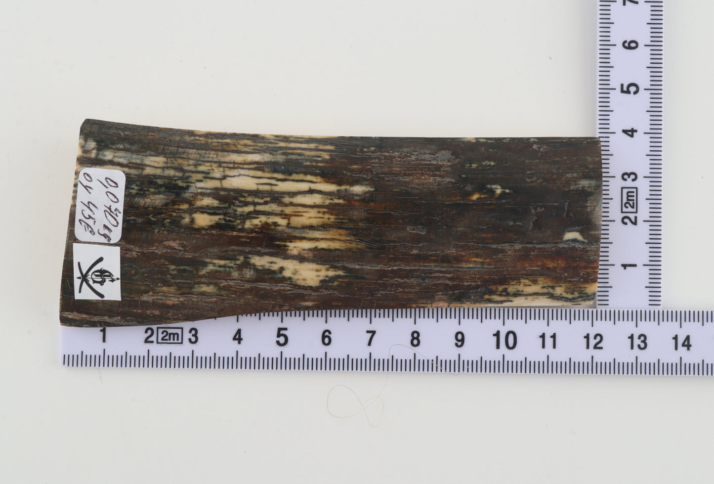 Brown-green mammoth bark