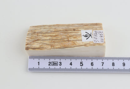 Natural mammoth ivory piece