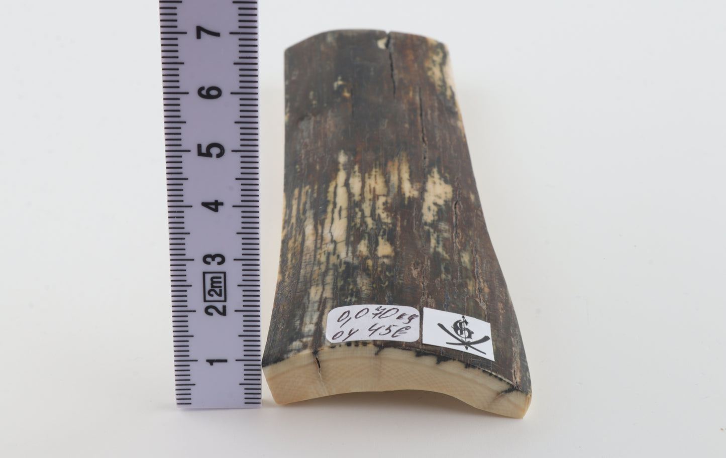 Brown-green mammoth bark