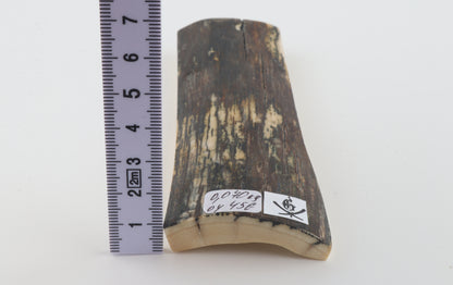 Brown-green mammoth bark