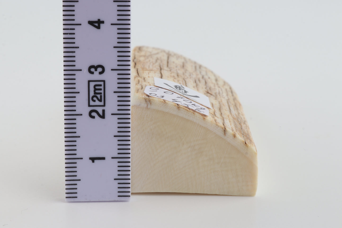Natural mammoth ivory piece