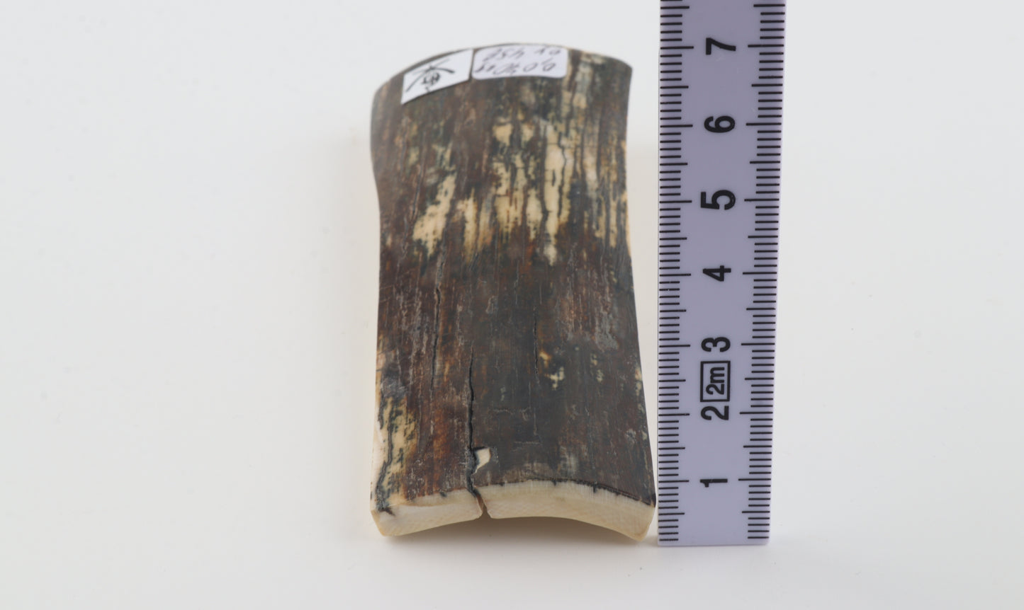 Brown-green mammoth bark