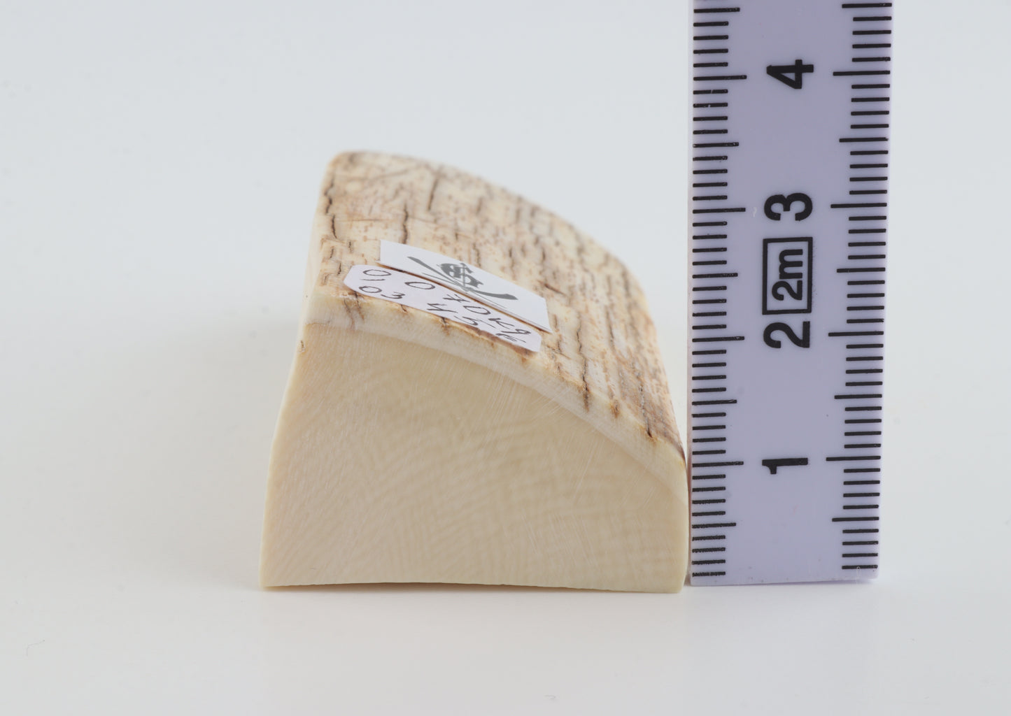 Natural mammoth ivory piece