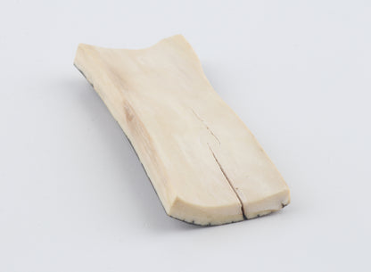 Brown-green mammoth bark