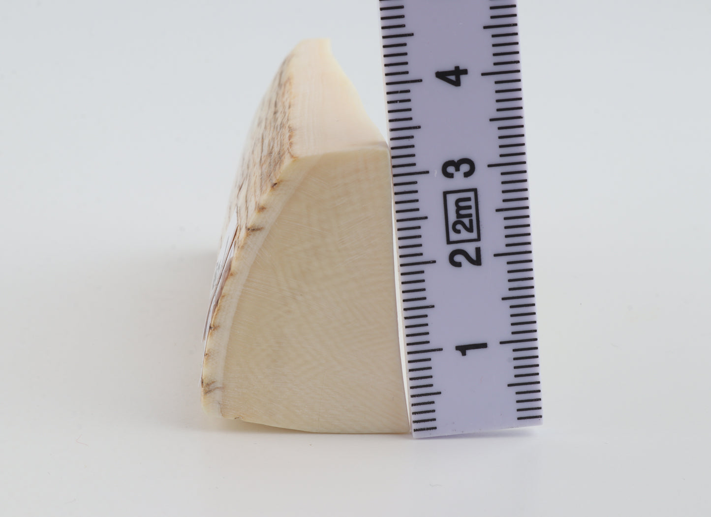 Natural mammoth ivory piece