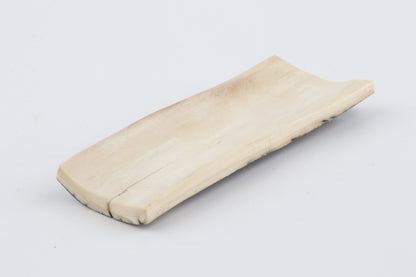 Brown-green mammoth bark