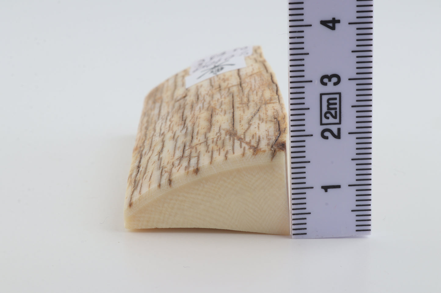 Natural mammoth ivory piece