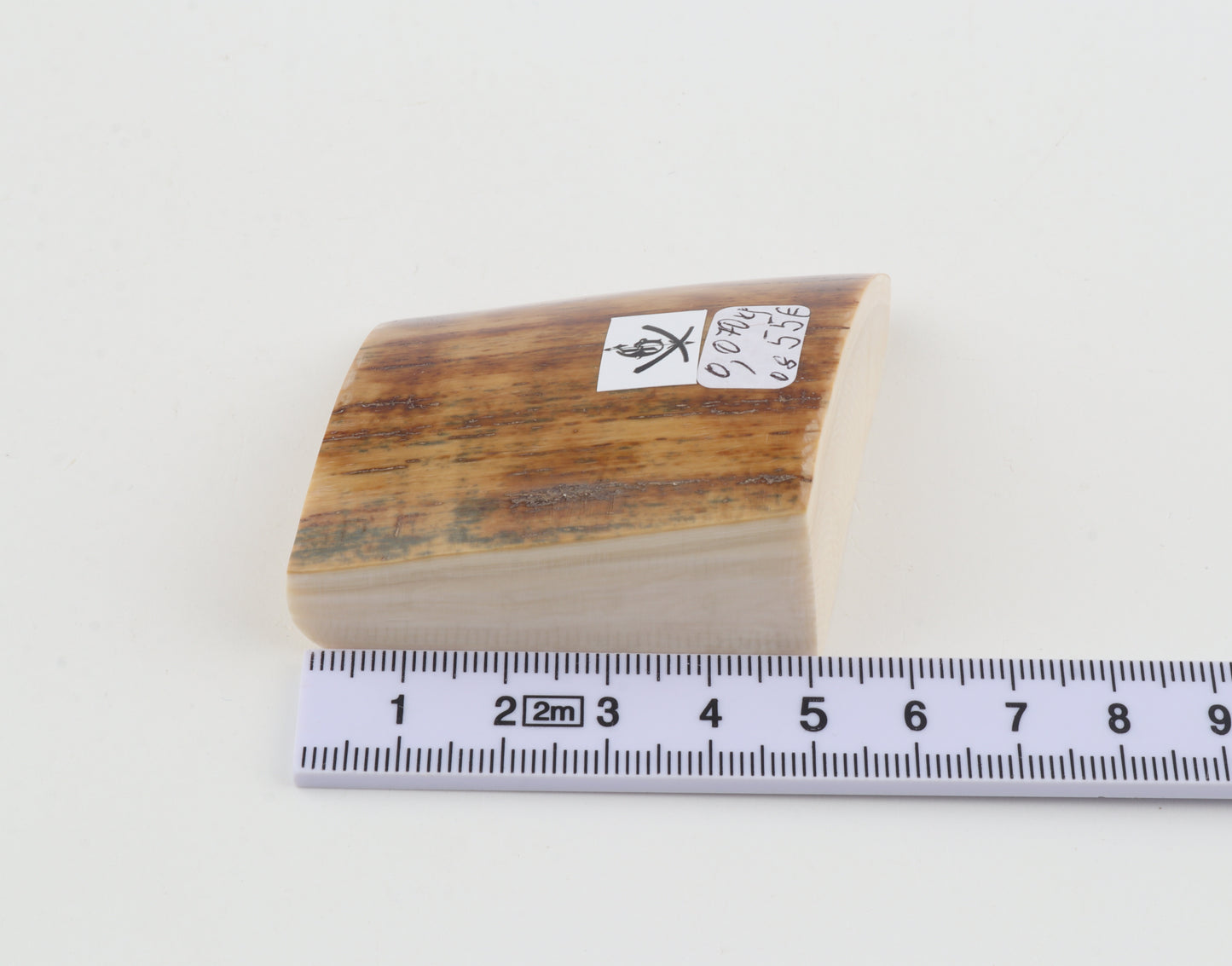 Natural mammoth ivory piece