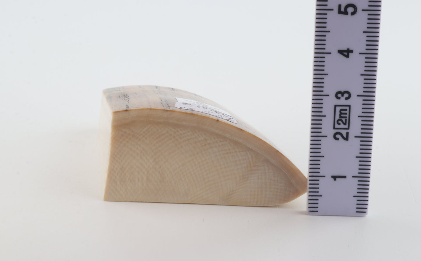 Natural mammoth ivory piece