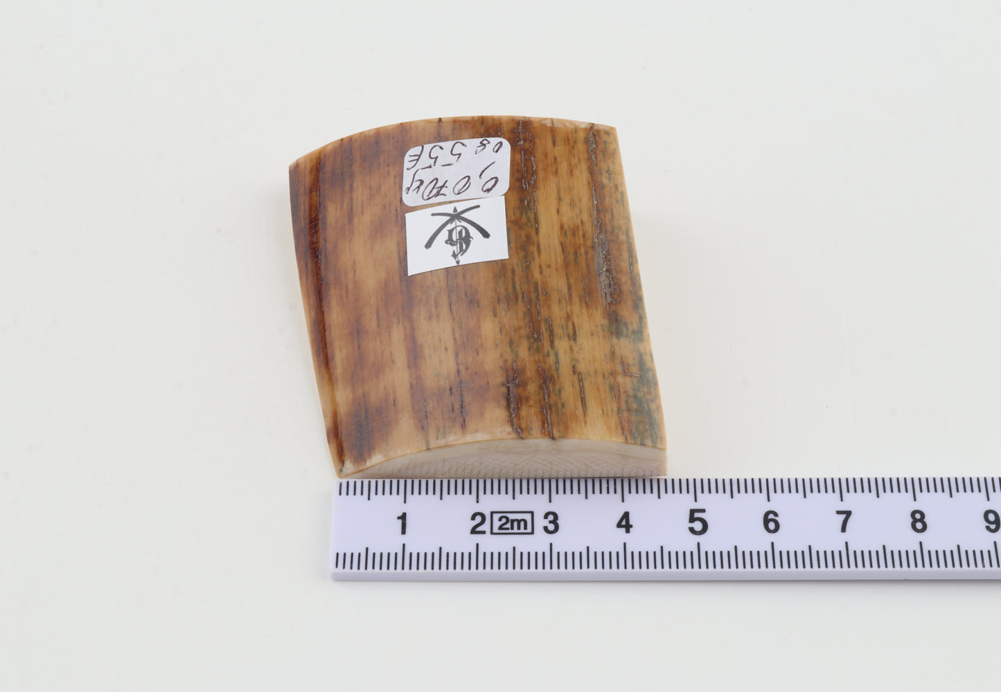 Natural mammoth ivory piece