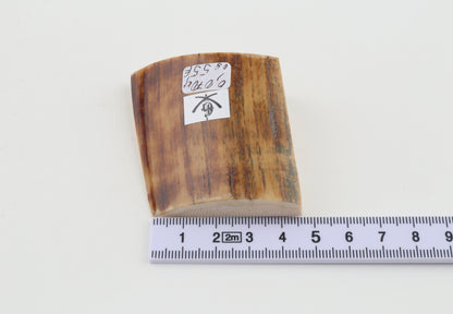 Natural mammoth ivory piece