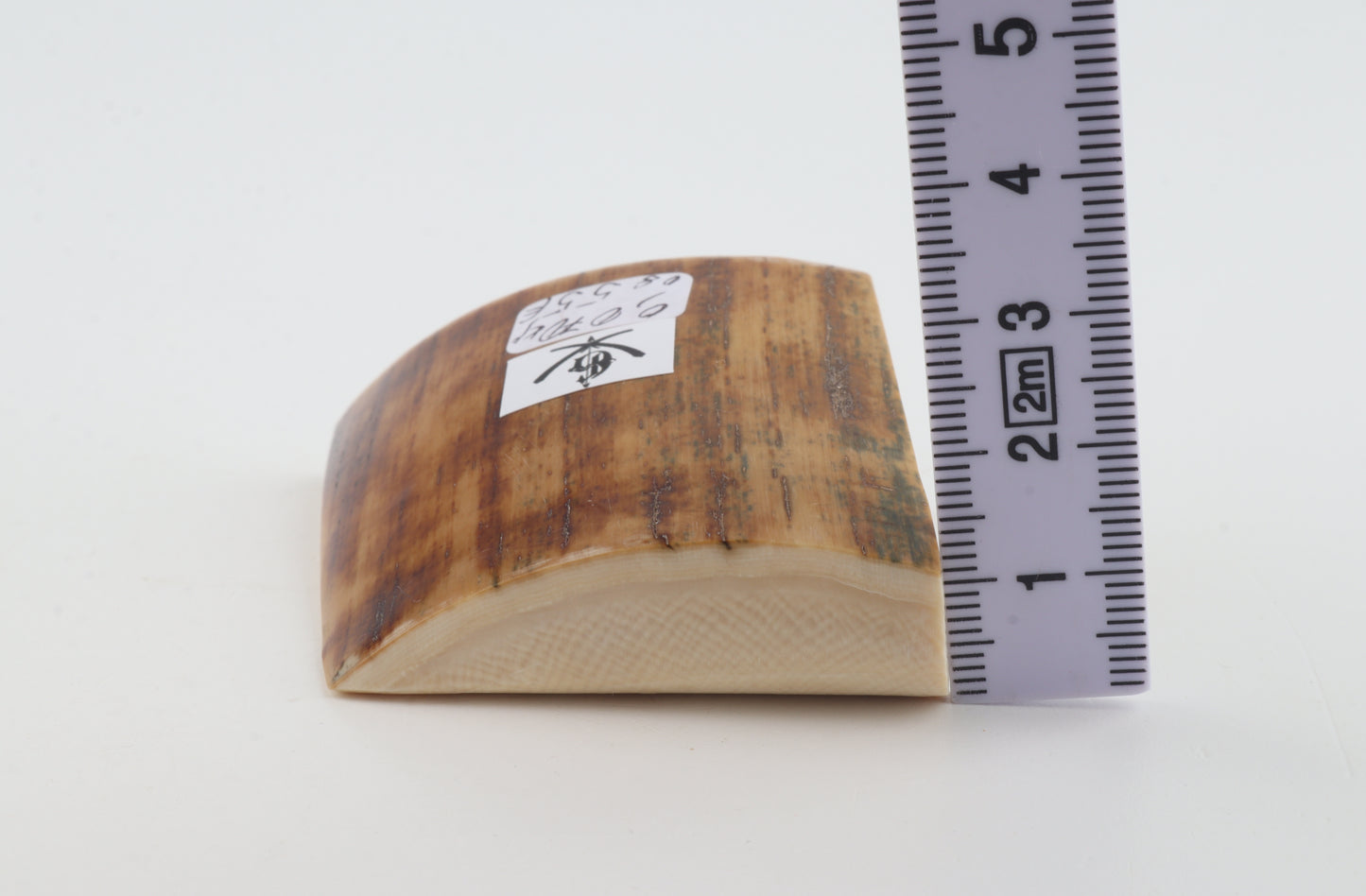 Natural mammoth ivory piece
