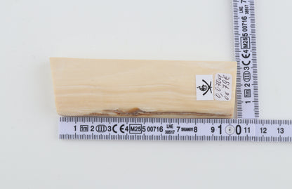 White mammoth ivory segment