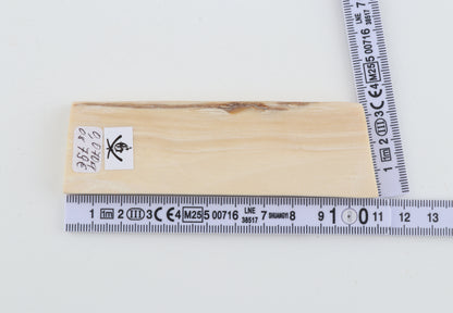 White mammoth ivory segment