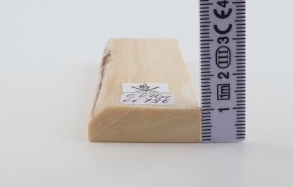 White mammoth ivory segment
