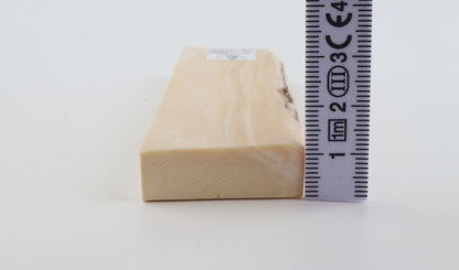White mammoth ivory segment
