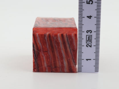 Stabilized mammoth molar piece