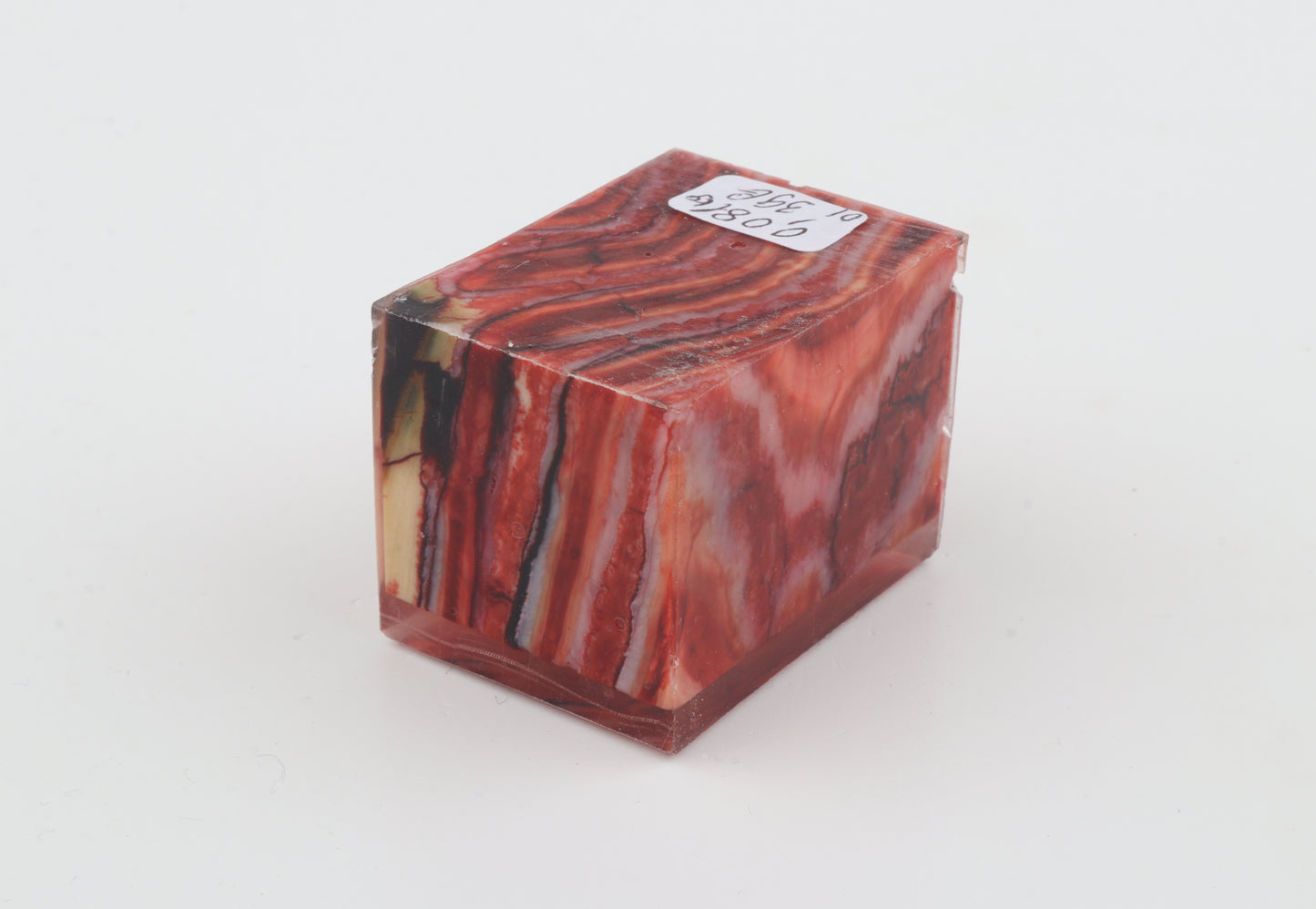 Stabilized mammoth molar piece