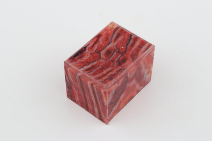 Stabilized mammoth molar piece