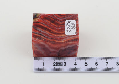 Stabilized mammoth molar piece