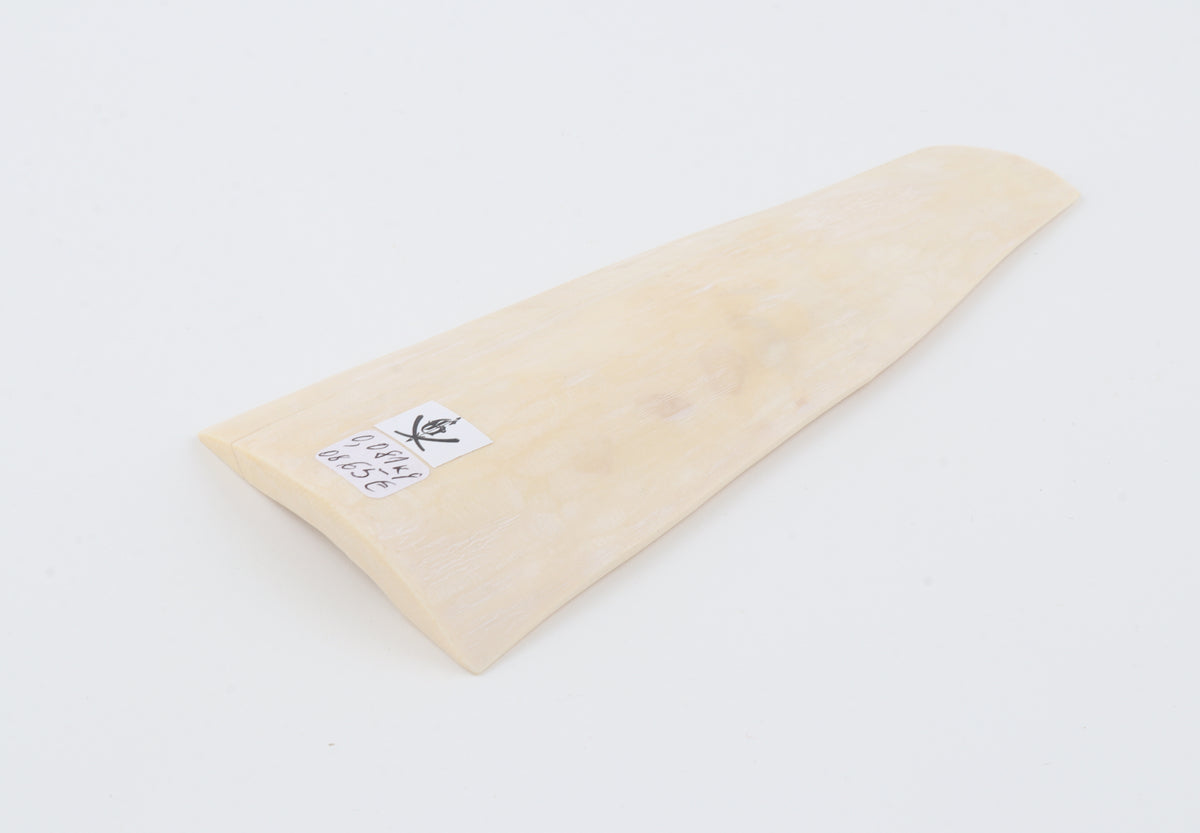 White mammoth ivory segment