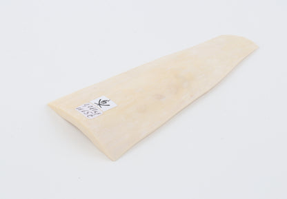 White mammoth ivory segment