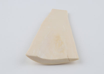 White mammoth ivory segment