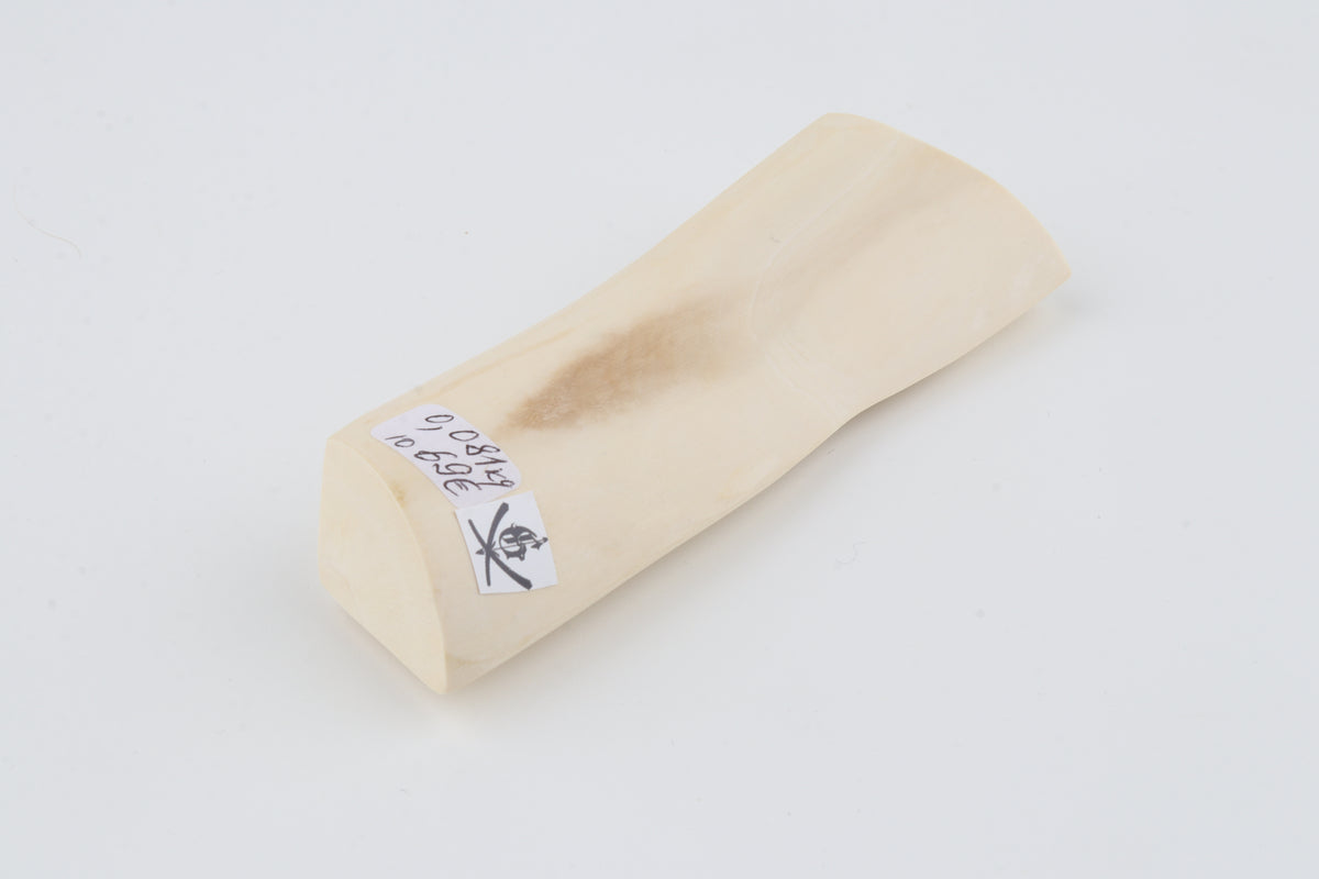 White mammoth ivory segment