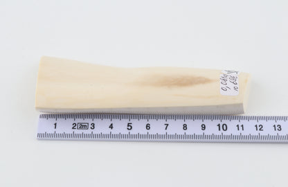 White mammoth ivory segment