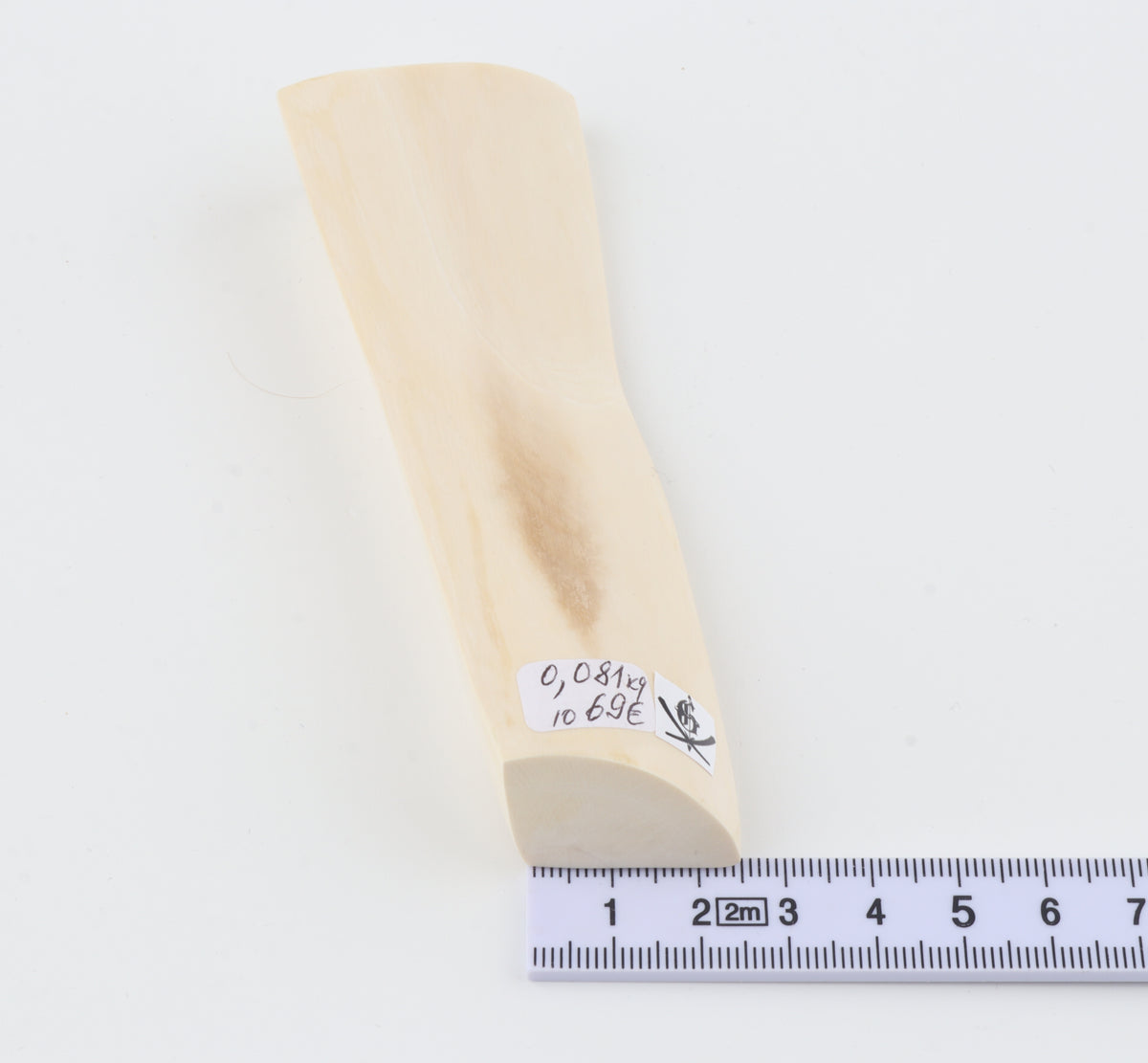 White mammoth ivory segment