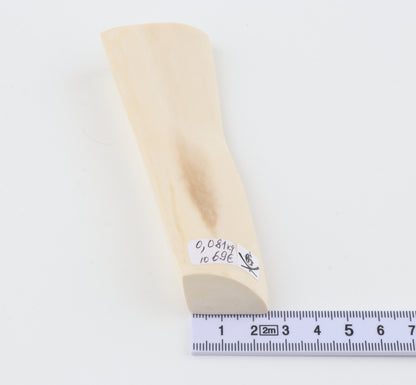 White mammoth ivory segment