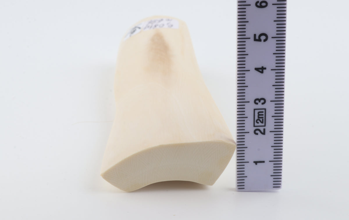 White mammoth ivory segment