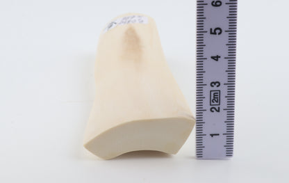 White mammoth ivory segment