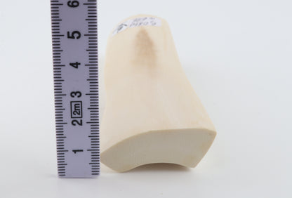 White mammoth ivory segment